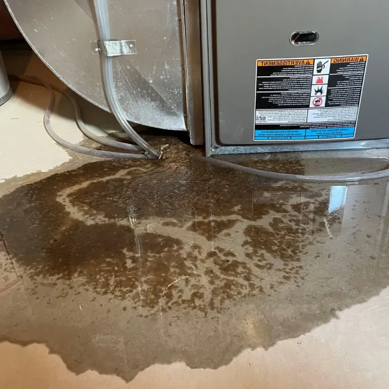 Pipe Burst and Leak Restoration in Windham, NH